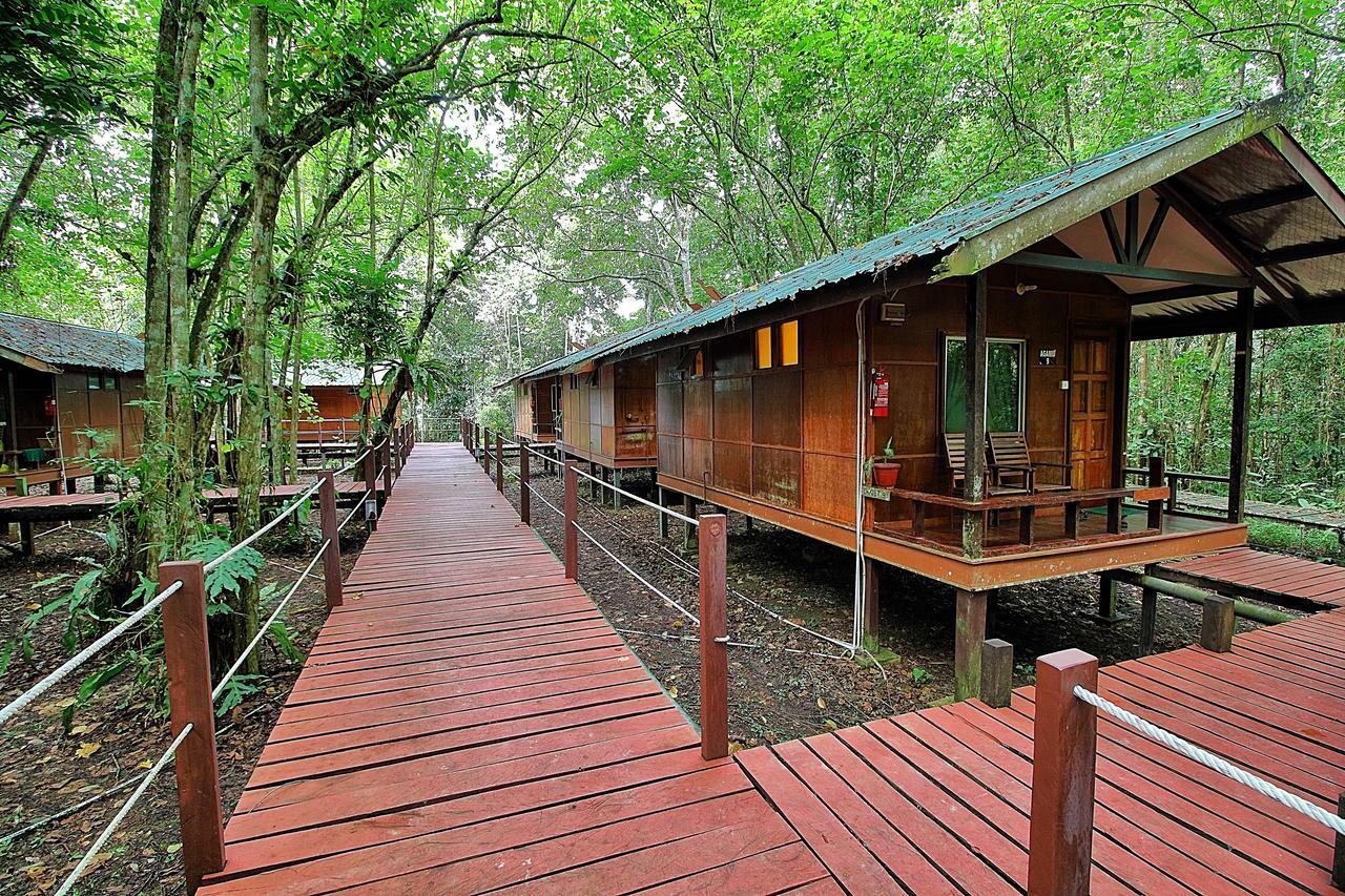 Nature alojamiento Kinabatangan Bilit Exterior foto