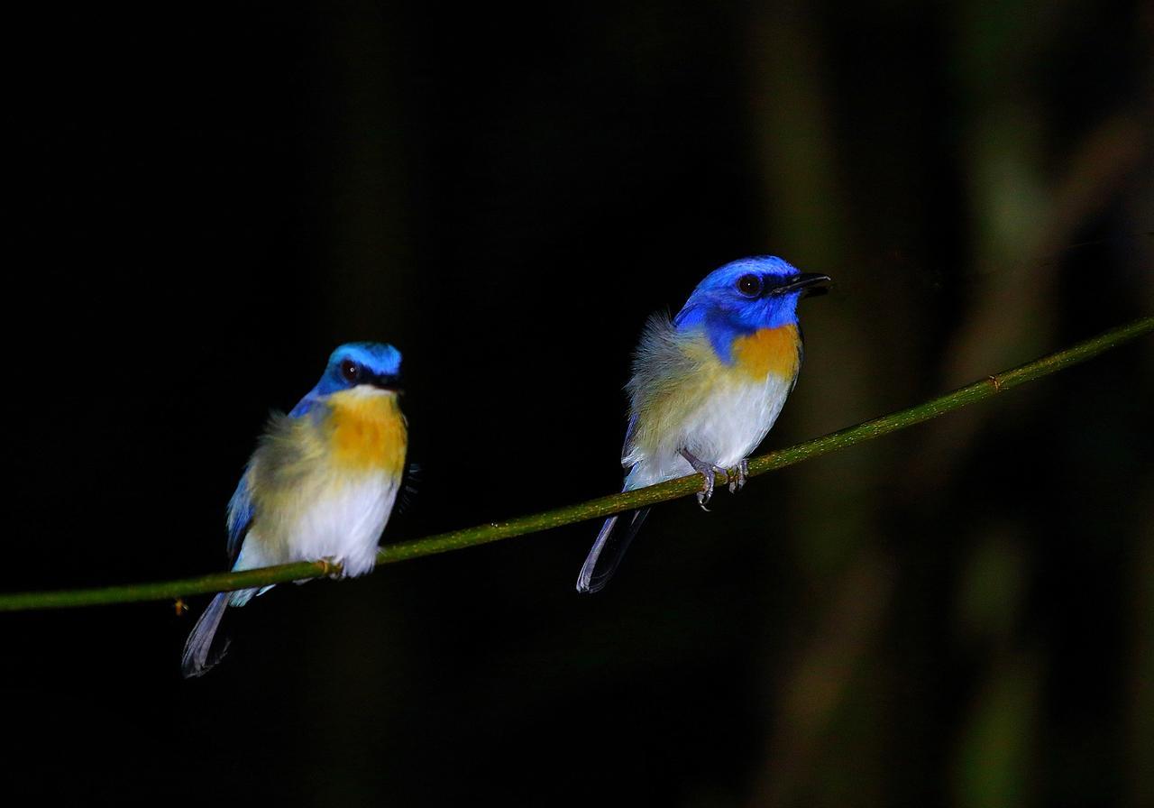 Nature alojamiento Kinabatangan Bilit Exterior foto