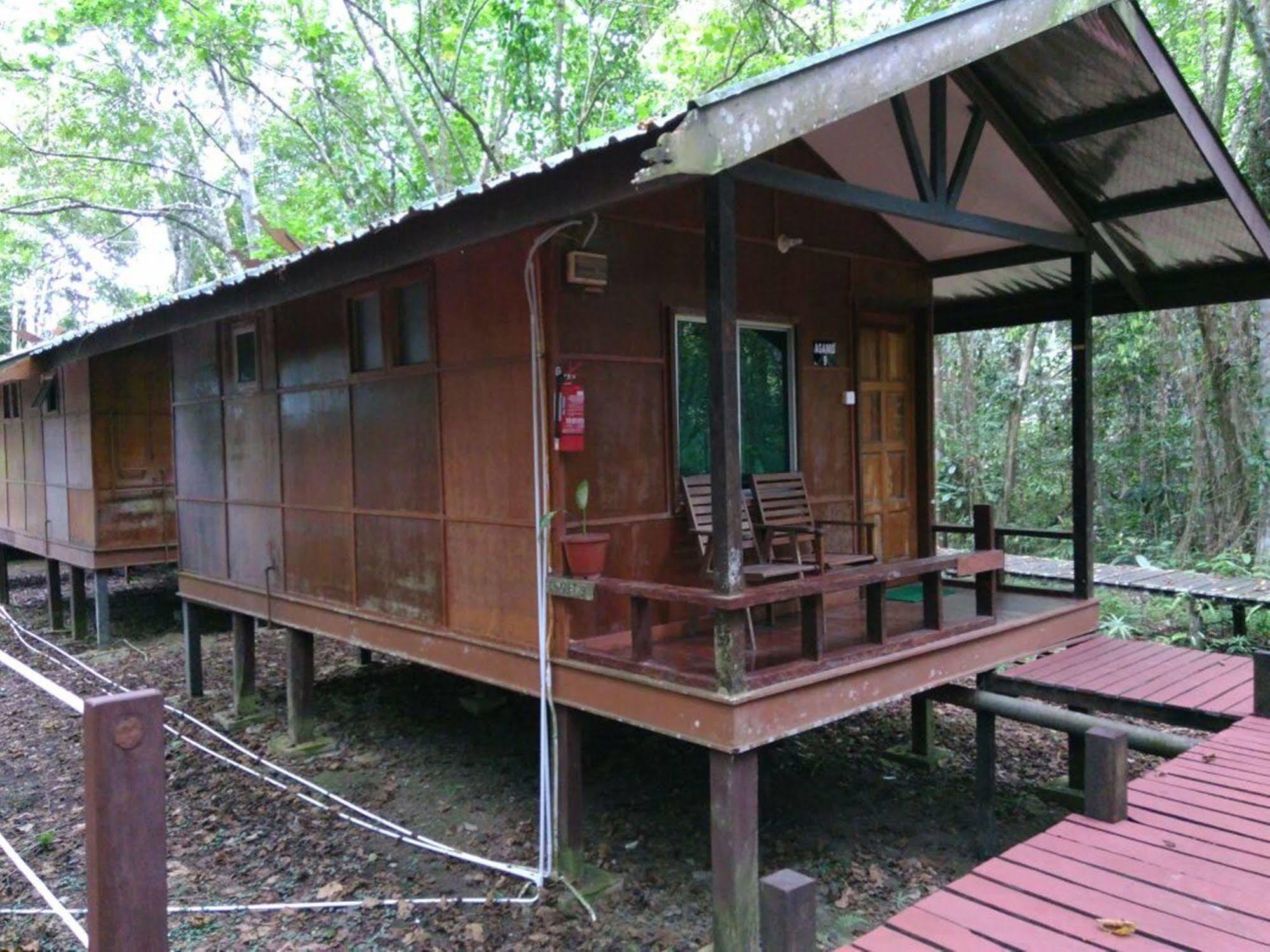 Nature alojamiento Kinabatangan Bilit Exterior foto