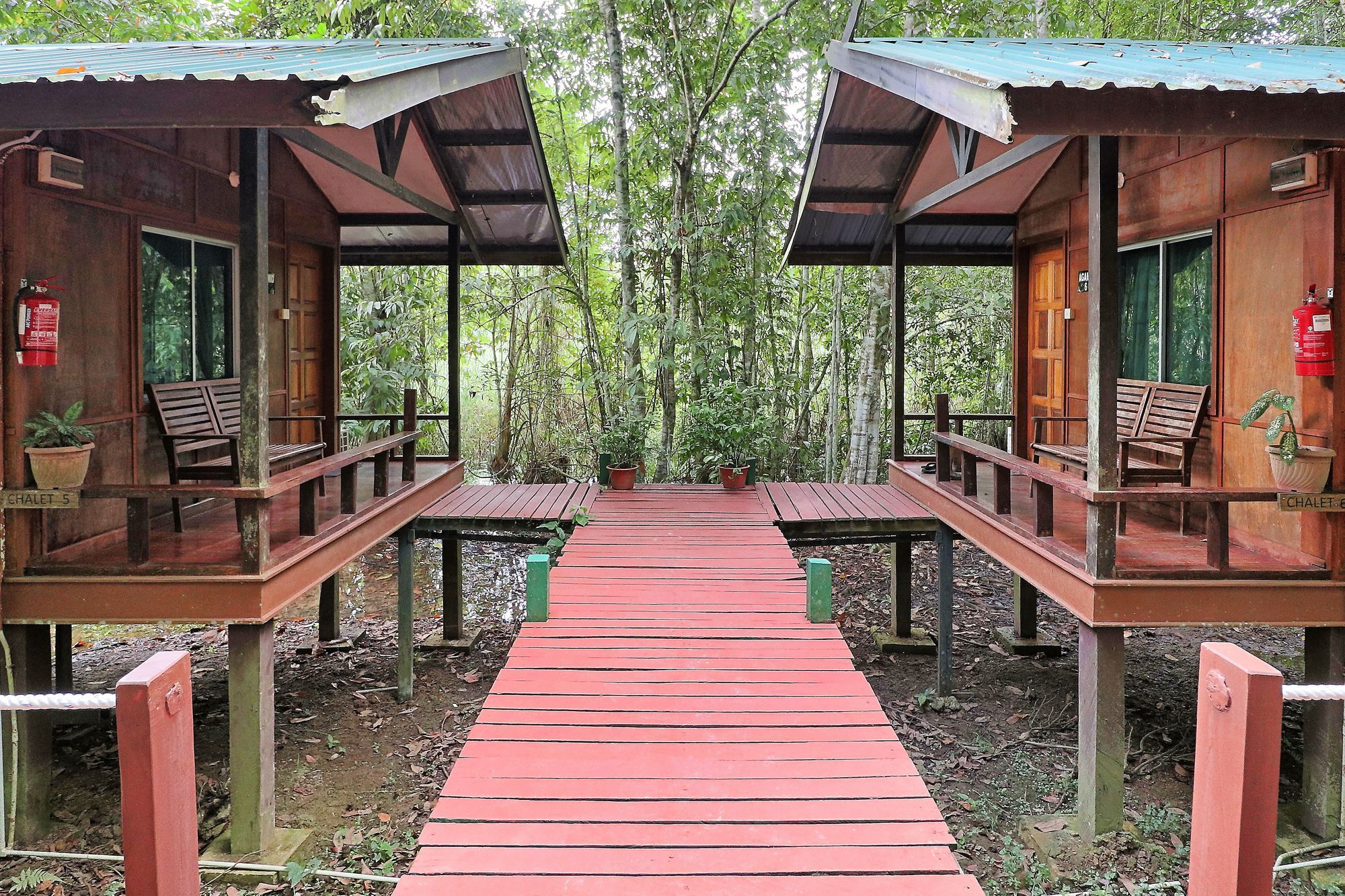 Nature alojamiento Kinabatangan Bilit Exterior foto