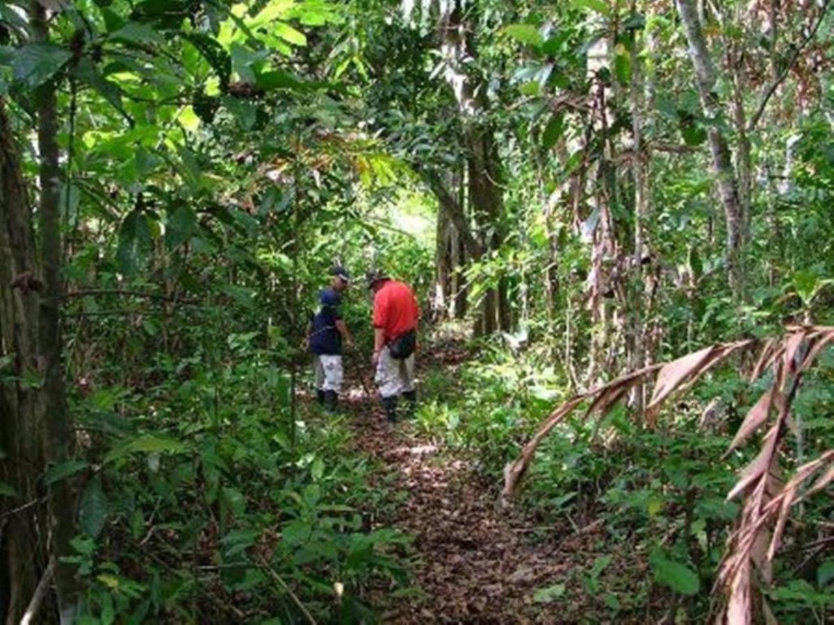 Nature alojamiento Kinabatangan Bilit Exterior foto